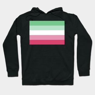 Abrosexual Pride Flag Hoodie